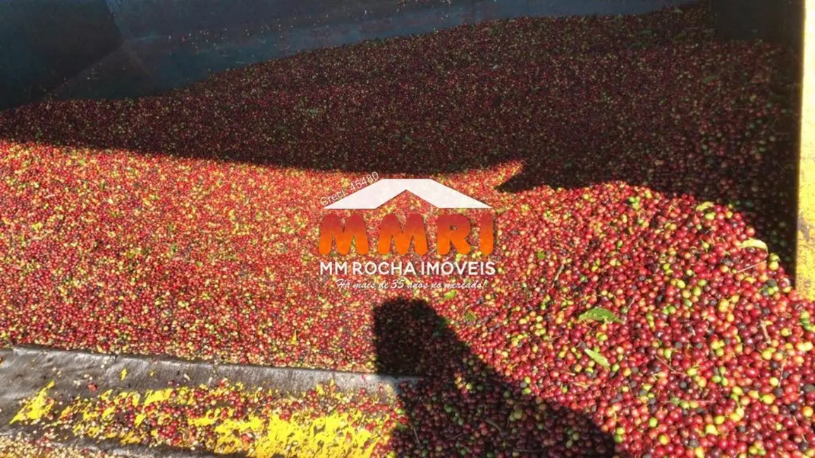 Foto 6 de Fazenda / Haras com 1 quarto à venda, 2350m2 em Núcleo Habitacional Castelo Branco, Marilia - SP