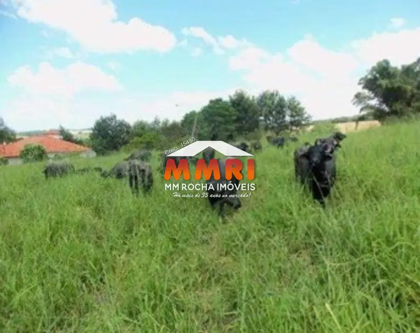 Foto 3 de Fazenda / Haras com 1 quarto à venda, 123m2 em Santana Do Itarare - PR