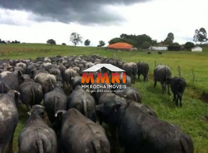 Foto 1 de Fazenda / Haras com 1 quarto à venda, 123m2 em Santana Do Itarare - PR