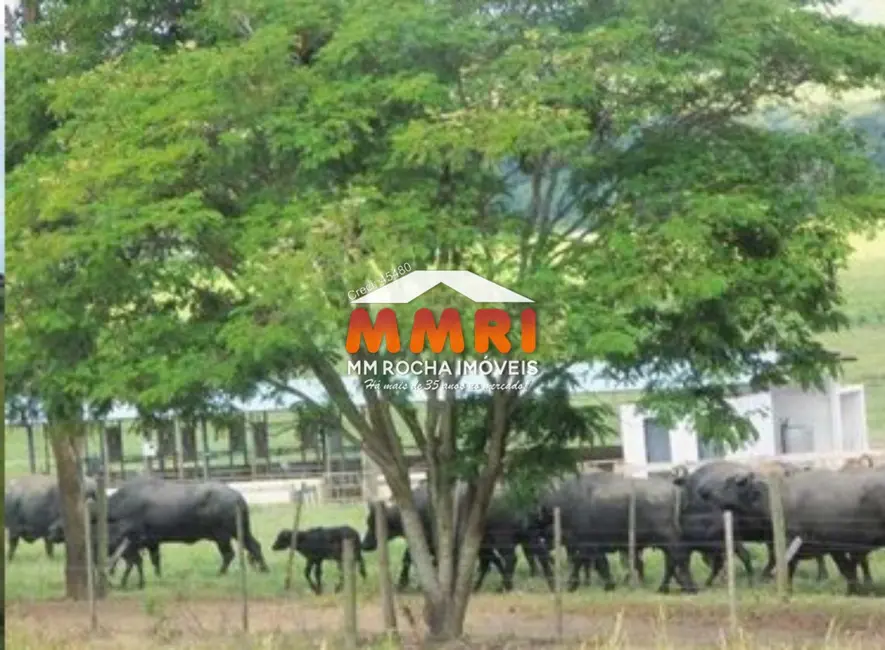 Foto 2 de Fazenda / Haras com 1 quarto à venda, 123m2 em Santana Do Itarare - PR