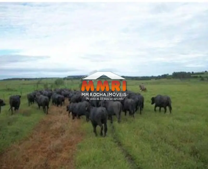 Foto 4 de Fazenda / Haras com 1 quarto à venda, 123m2 em Santana Do Itarare - PR