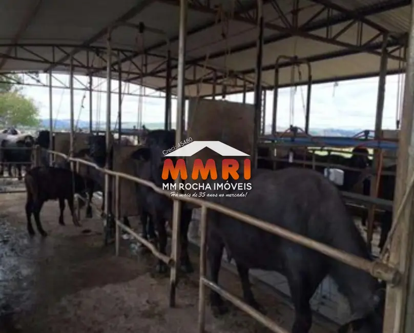 Foto 9 de Fazenda / Haras com 1 quarto à venda, 123m2 em Santana Do Itarare - PR