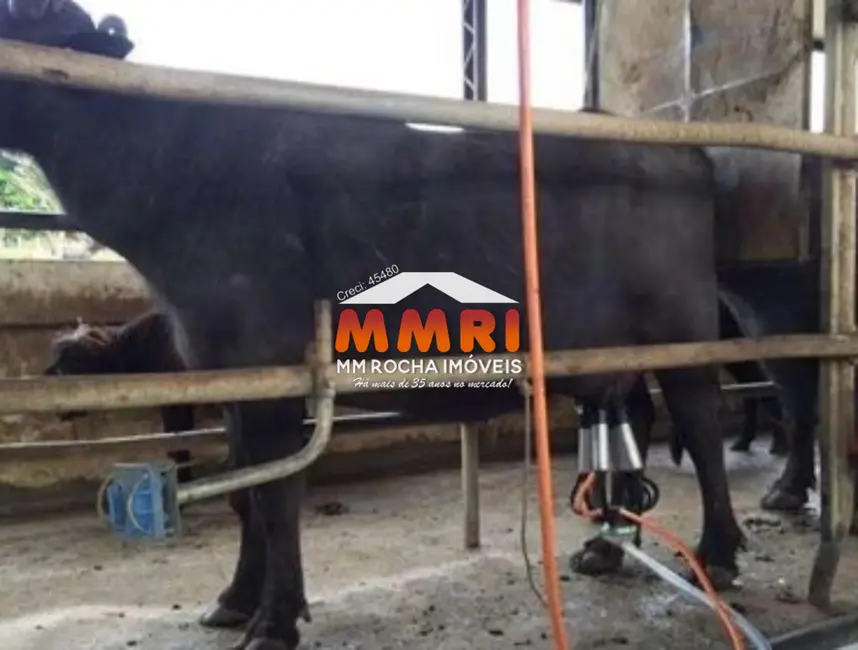 Foto 7 de Fazenda / Haras com 1 quarto à venda, 123m2 em Santana Do Itarare - PR
