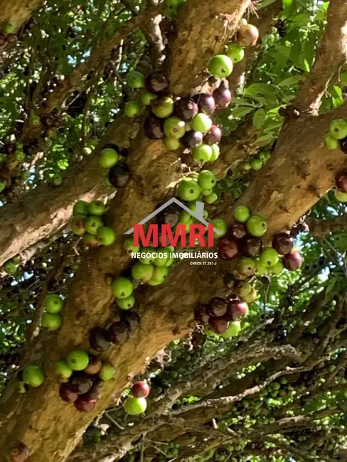 Foto 16 de Chácara com 3 quartos à venda, 100m2 em Aracoiaba Da Serra - SP