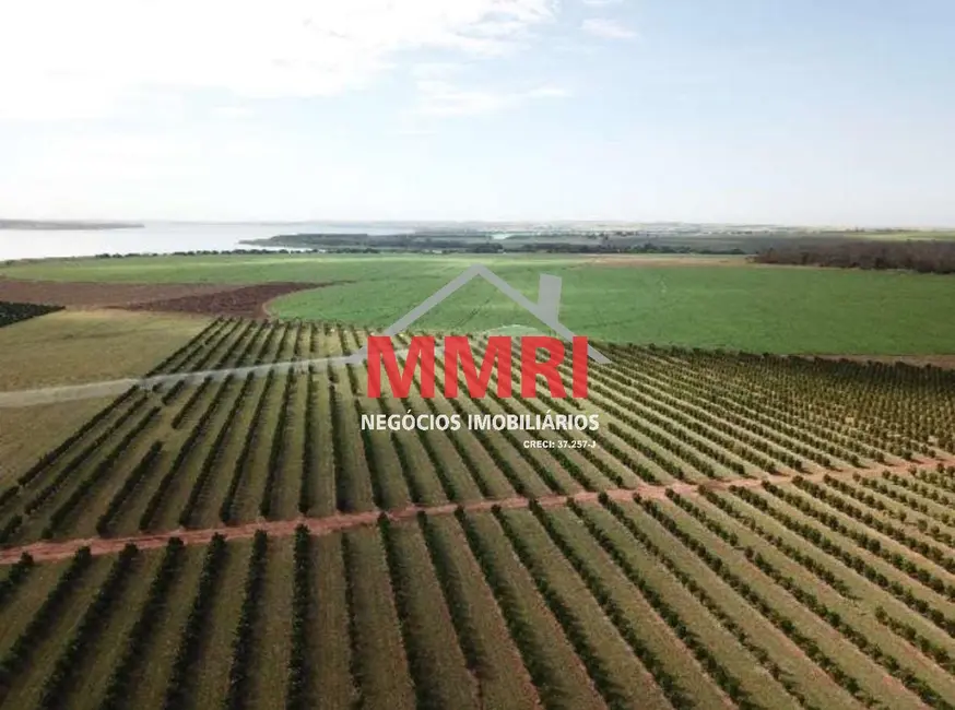 Foto 5 de Fazenda / Haras com 5 quartos à venda, 158m2 em Patrimônio Novo, Votuporanga - SP