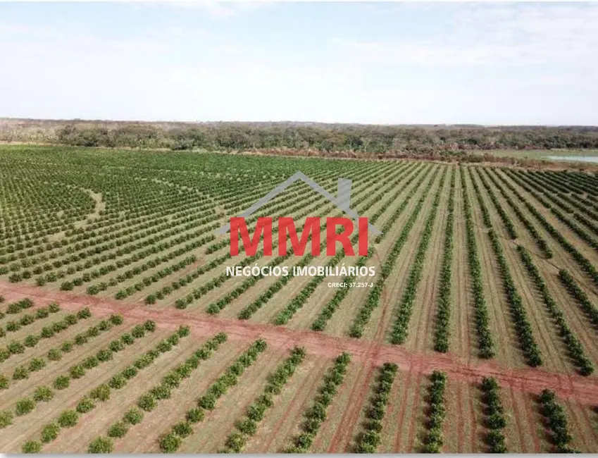 Foto 9 de Fazenda / Haras com 5 quartos à venda, 158m2 em Patrimônio Novo, Votuporanga - SP