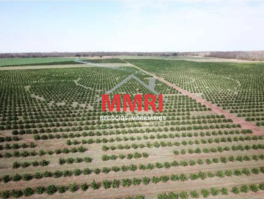 Foto 6 de Fazenda / Haras com 5 quartos à venda, 158m2 em Patrimônio Novo, Votuporanga - SP