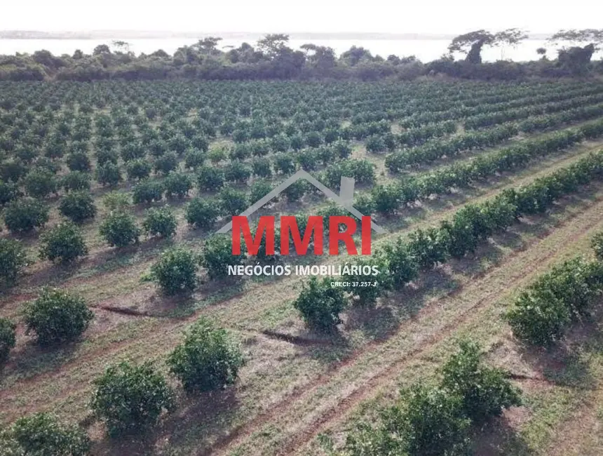 Foto 8 de Fazenda / Haras com 5 quartos à venda, 158m2 em Patrimônio Novo, Votuporanga - SP