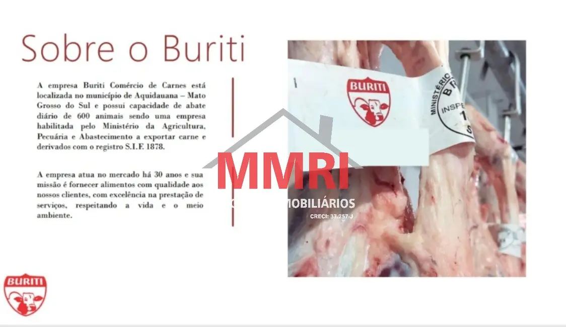 Foto 7 de Fazenda / Haras com 4 quartos à venda, 86000m2 em Aquidauana - MS