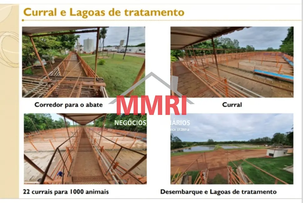 Fazenda / Haras com 2 quartos à venda, 5000m2 em Aquidauana - MS - imagem 9 Foto 9 de Fazenda / Haras com 2 quartos à venda, 5000m2 em Aquidauana - MS