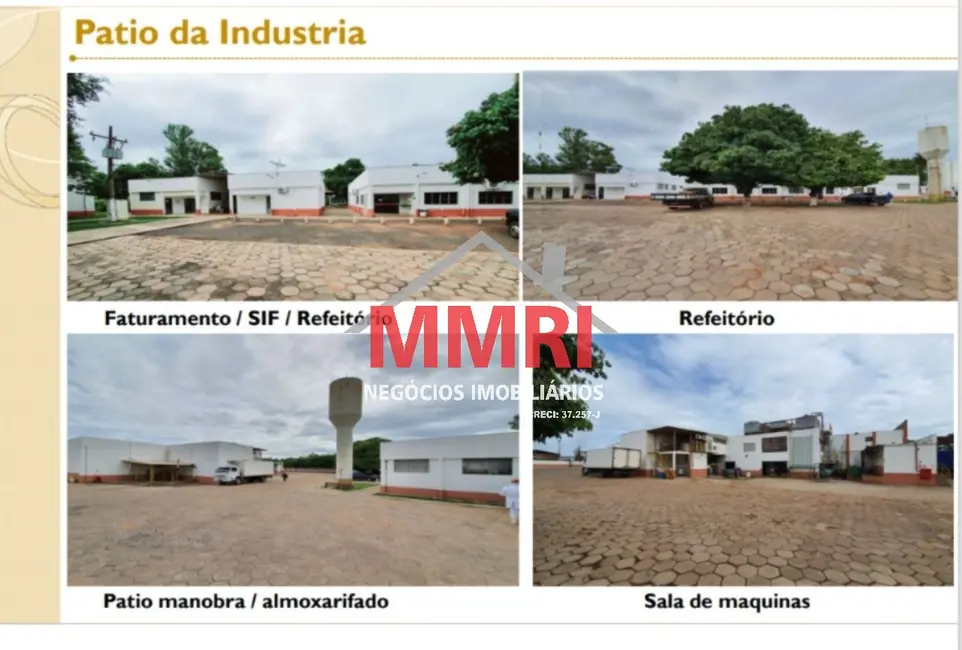 Fazenda / Haras com 2 quartos à venda, 5000m2 em Aquidauana - MS - imagem 8 Foto 8 de Fazenda / Haras com 2 quartos à venda, 5000m2 em Aquidauana - MS