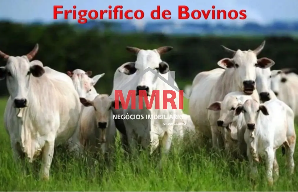 Fazenda / Haras com 2 quartos à venda, 5000m2 em Aquidauana - MS - imagem 1 Foto 1 de Fazenda / Haras com 2 quartos à venda, 5000m2 em Aquidauana - MS