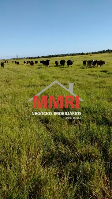 Foto 4 de Fazenda / Haras com 8 quartos à venda em Porto Seguro - BA