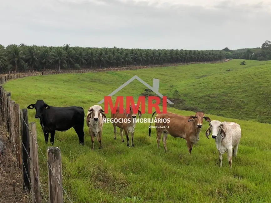 Foto 5 de Fazenda / Haras com 8 quartos à venda em Porto Seguro - BA