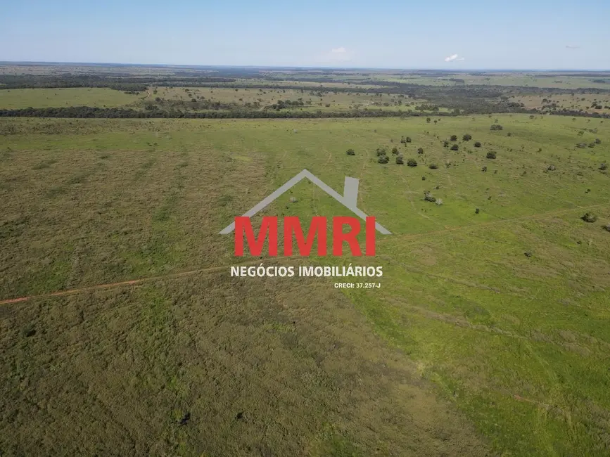Fazenda / Haras com 1 quarto à venda, 7377m2 em Cassilandia - MS - imagem 5 Foto 5 de Fazenda / Haras com 1 quarto à venda, 7377m2 em Cassilandia - MS