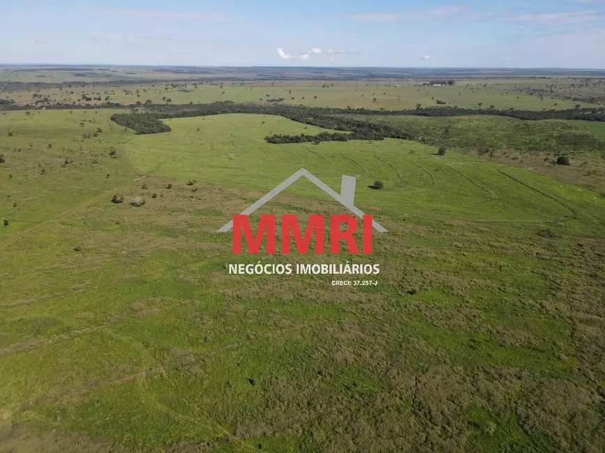Fazenda / Haras com 1 quarto à venda, 7377m2 em Cassilandia - MS - imagem 6 Foto 6 de Fazenda / Haras com 1 quarto à venda, 7377m2 em Cassilandia - MS