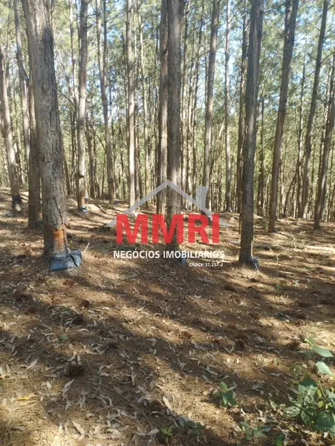 Foto 3 de Fazenda / Haras à venda, 100m2 em Itapirapua Paulista - SP