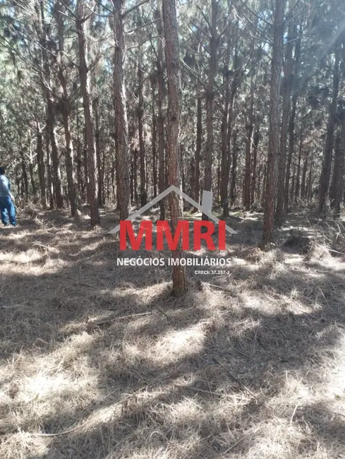 Foto 2 de Fazenda / Haras à venda, 100m2 em Itapirapua Paulista - SP