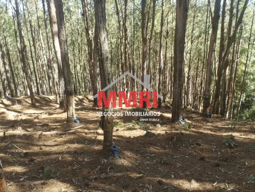 Foto 4 de Fazenda / Haras à venda, 100m2 em Itapirapua Paulista - SP