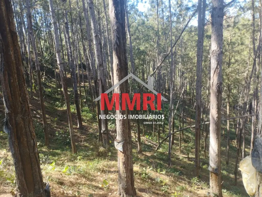 Foto 5 de Fazenda / Haras à venda, 100m2 em Itapirapua Paulista - SP