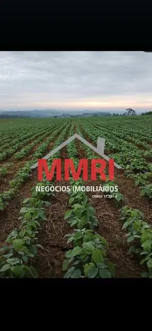 Foto 3 de Fazenda / Haras à venda, 205m2 em Angatuba - SP