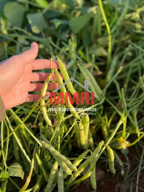 Foto 9 de Fazenda / Haras à venda, 205m2 em Angatuba - SP