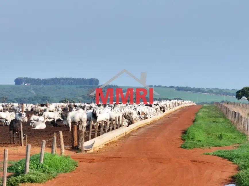 Foto 11 de Fazenda / Haras à venda em Paranatinga - MT