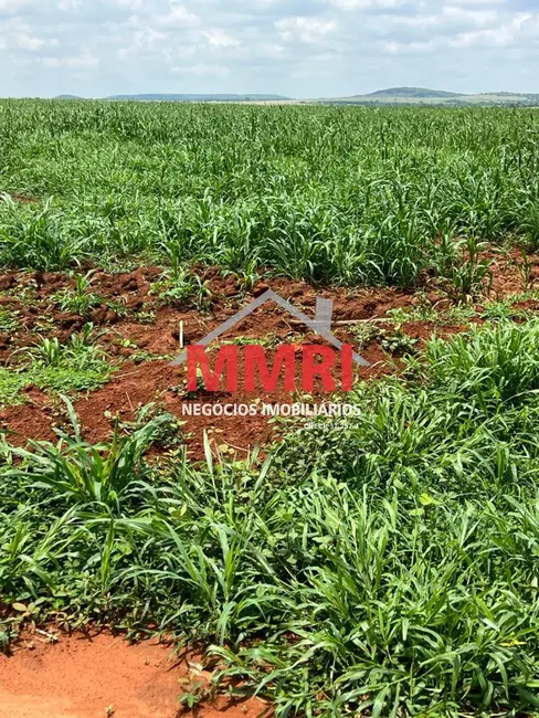 Foto 10 de Fazenda / Haras à venda em Paranatinga - MT