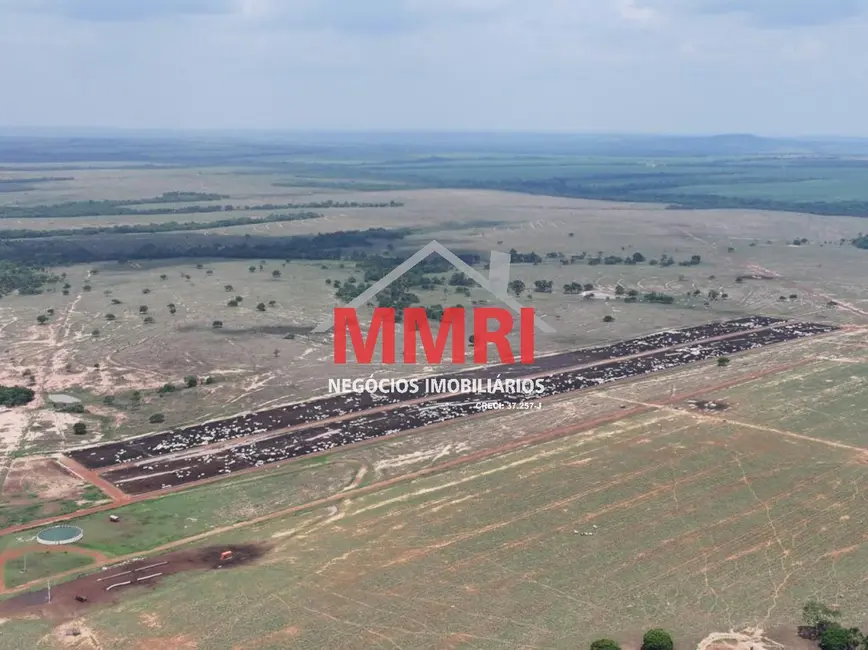 Foto 20 de Fazenda / Haras à venda em Paranatinga - MT