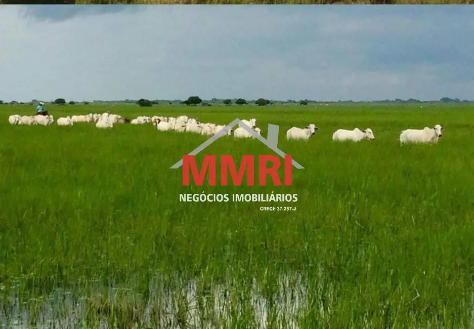 Foto 4 de Fazenda / Haras à venda, 95000m2 em Centro, Caceres - MT