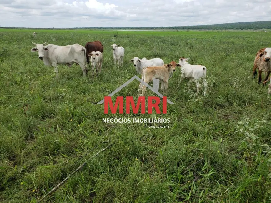 Foto 6 de Fazenda / Haras à venda, 95000m2 em Centro, Caceres - MT