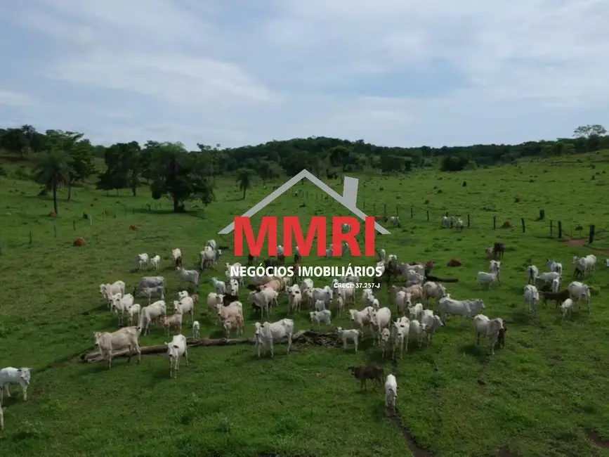 Foto 9 de Fazenda / Haras à venda em Agua Boa - MT