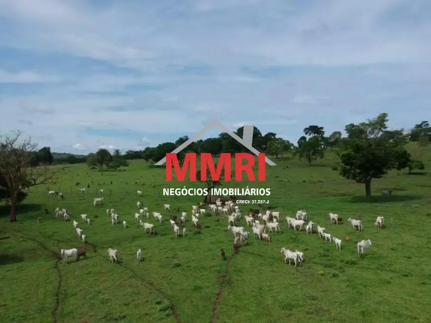 Foto 4 de Fazenda / Haras à venda em Agua Boa - MT