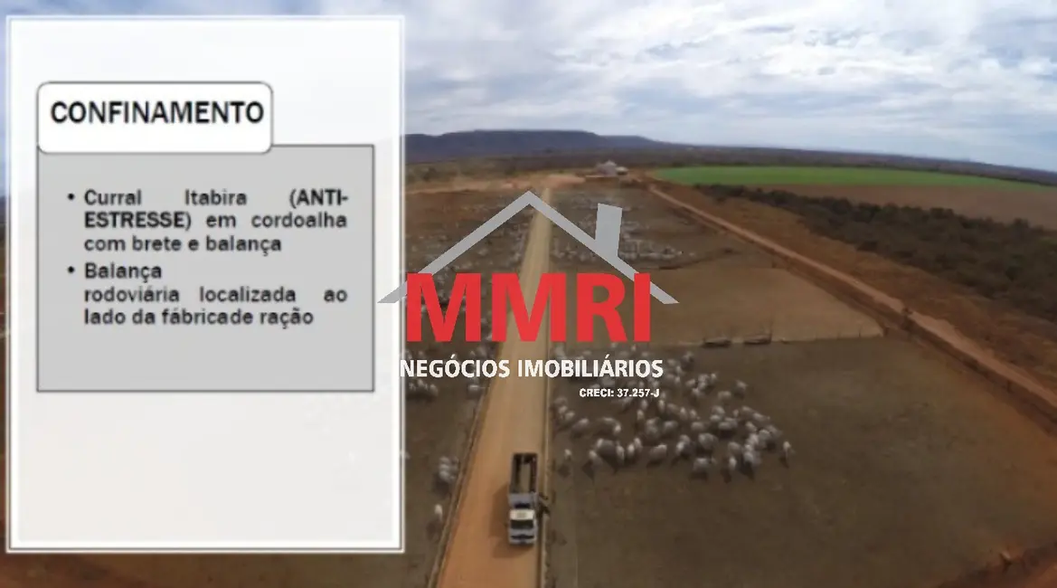 Fazenda / Haras à venda em Goiatins - TO - imagem 5 Foto 5 de Fazenda / Haras à venda em Goiatins - TO