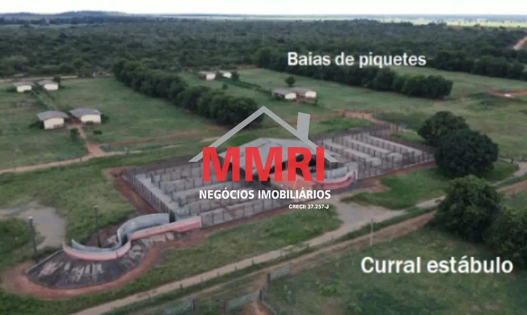 Fazenda / Haras à venda em Goiatins - TO - imagem 7 Foto 7 de Fazenda / Haras à venda em Goiatins - TO