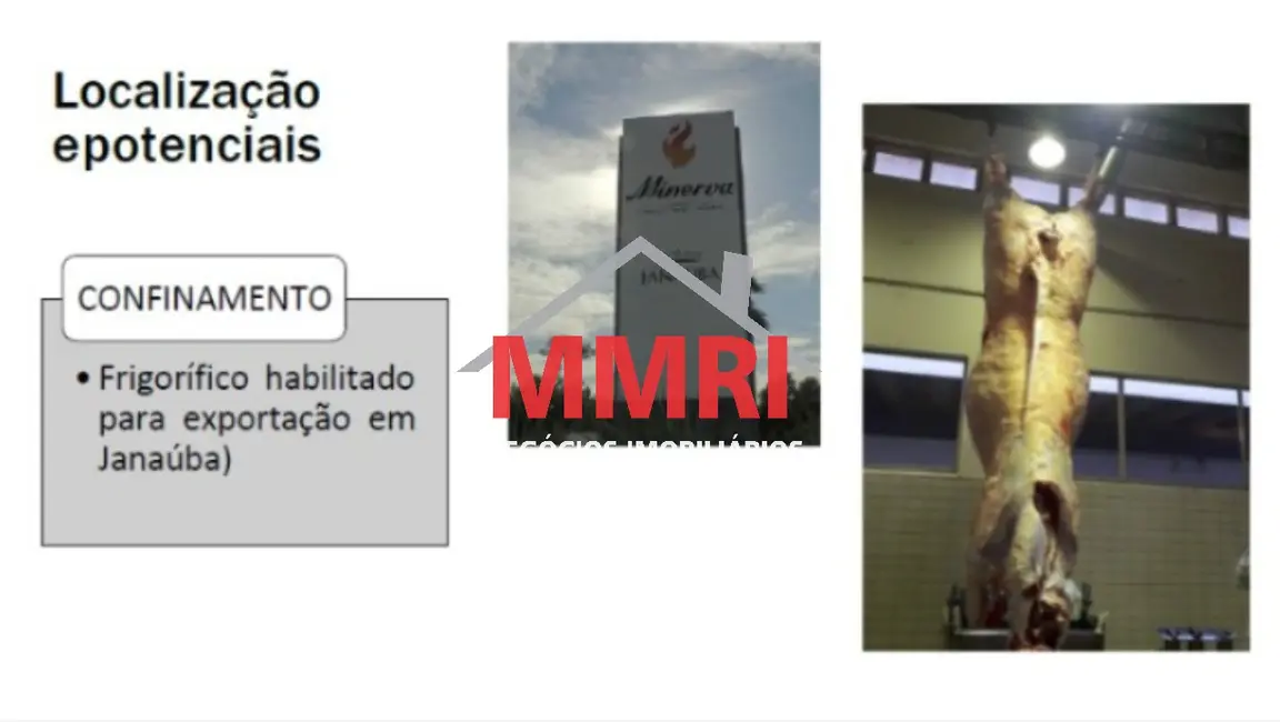 Fazenda / Haras à venda em Goiatins - TO - imagem 2 Foto 2 de Fazenda / Haras à venda em Goiatins - TO