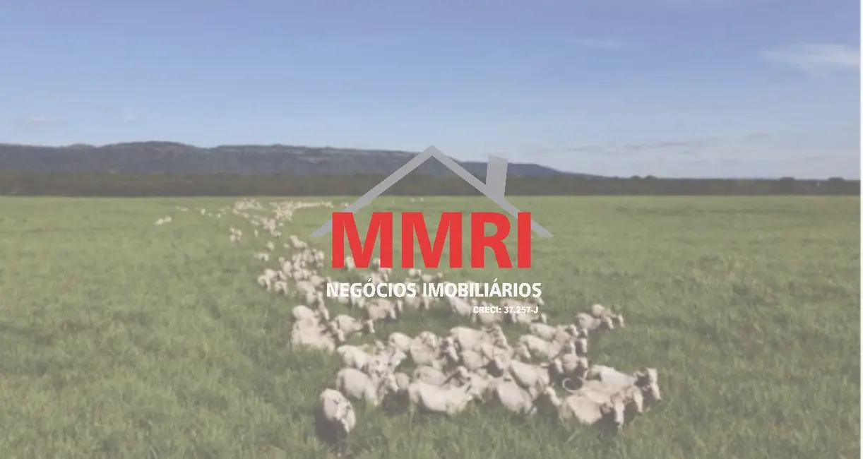 Foto 1 de Fazenda / Haras à venda em Goiatins, TO