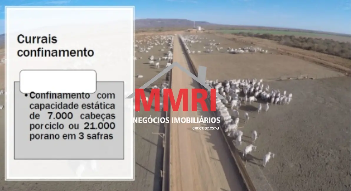 Fazenda / Haras à venda em Goiatins - TO - imagem 8 Foto 8 de Fazenda / Haras à venda em Goiatins - TO