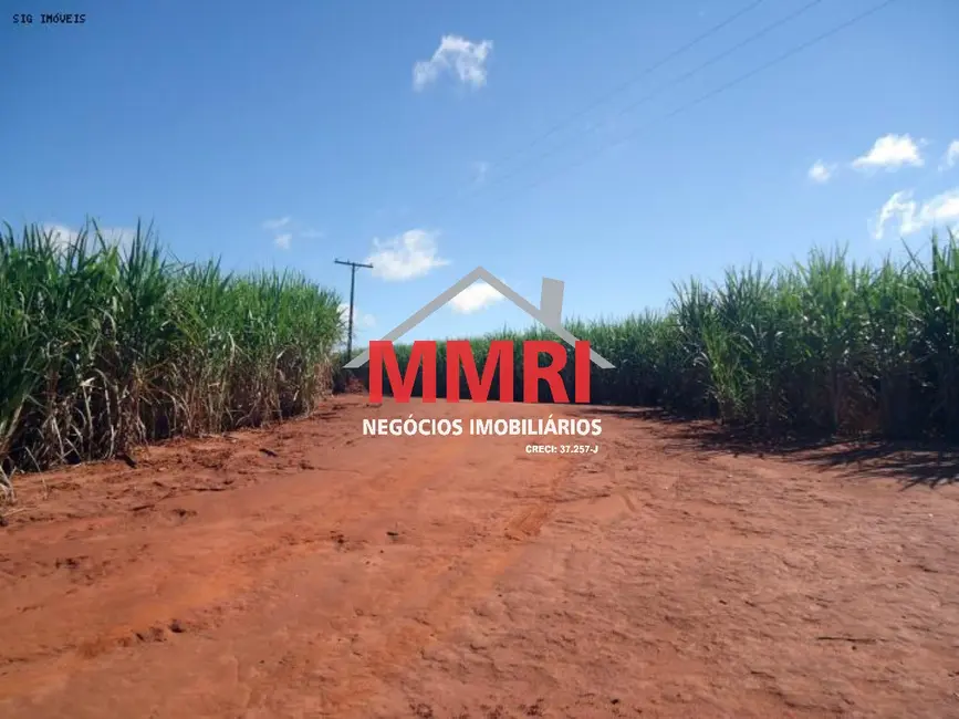 Foto 4 de Fazenda / Haras à venda em Vila Jesus, Presidente Prudente - SP