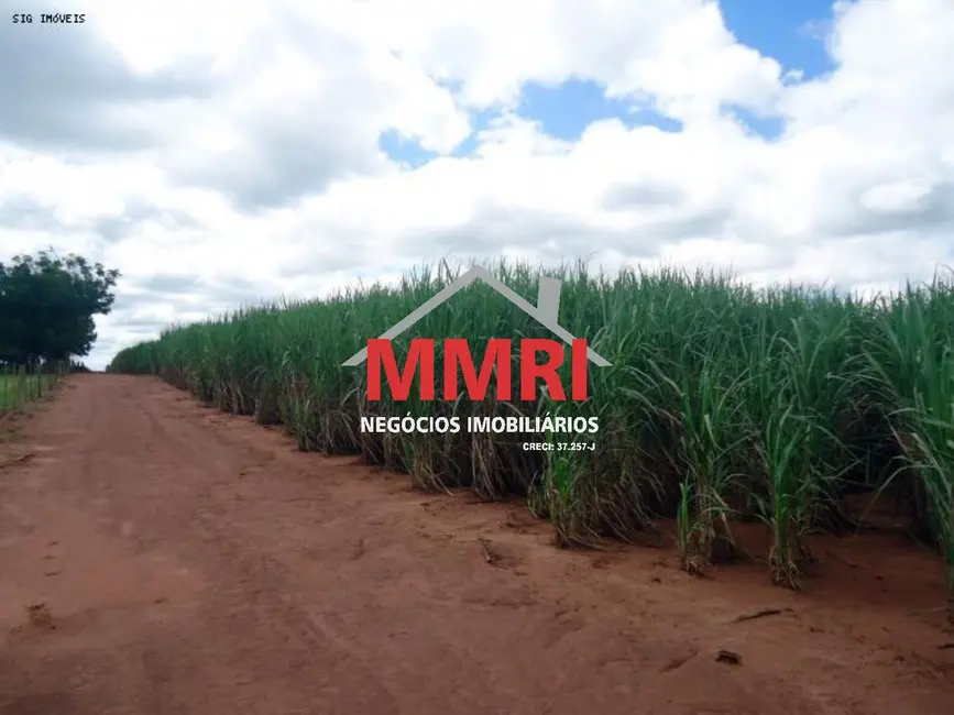 Foto 7 de Fazenda / Haras à venda em Vila Jesus, Presidente Prudente - SP