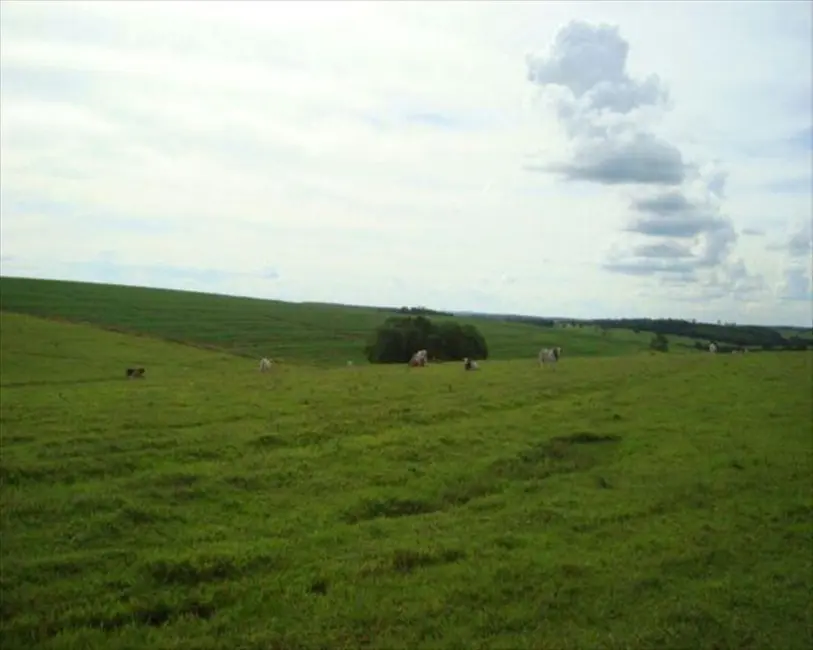 Fazenda / Haras à venda, 530m2 em Taquarituba - SP - imagem 1 Foto 1 de Fazenda / Haras à venda, 530m2 em Taquarituba - SP