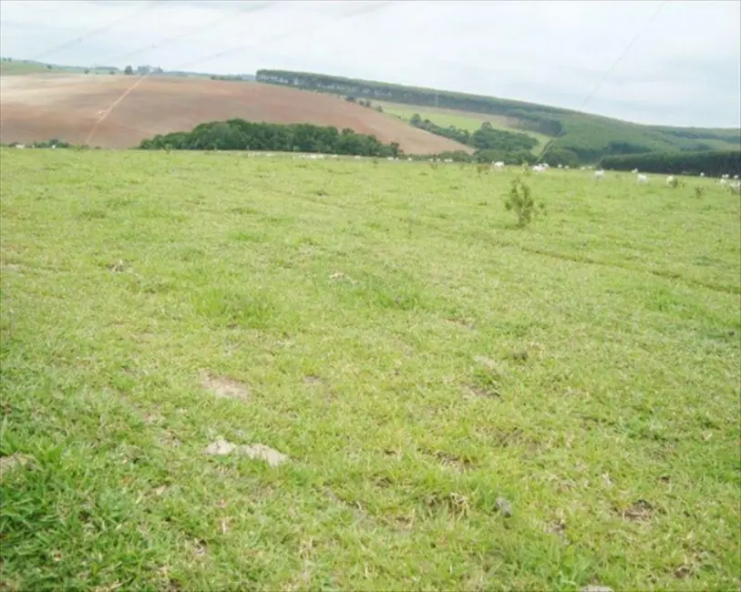 Fazenda / Haras à venda, 530m2 em Taquarituba - SP - imagem 4 Foto 4 de Fazenda / Haras à venda, 530m2 em Taquarituba - SP