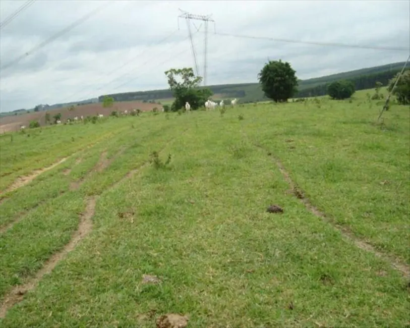 Fazenda / Haras à venda, 530m2 em Taquarituba - SP - imagem 6 Foto 6 de Fazenda / Haras à venda, 530m2 em Taquarituba - SP