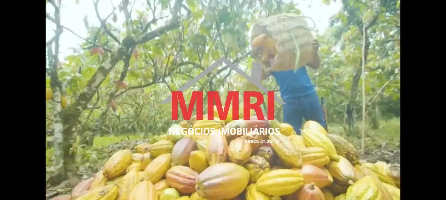 Foto 3 de Fazenda / Haras à venda, 2000m2 em Banco da Vitória, Ilheus - BA