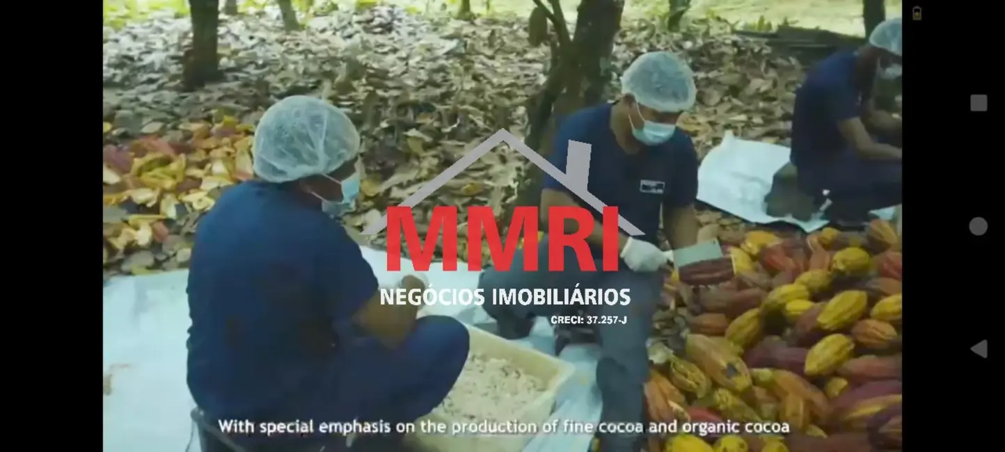 Foto 4 de Fazenda / Haras à venda, 2000m2 em Banco da Vitória, Ilheus - BA