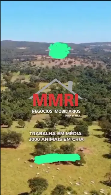 Foto 1 de Fazenda / Haras à venda em Goiás - GO
