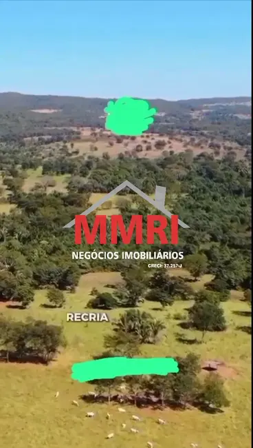 Foto 7 de Fazenda / Haras à venda em Goiás - GO