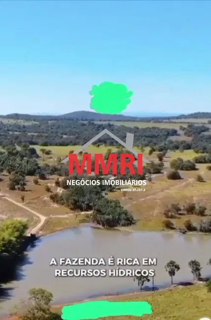 Foto 6 de Fazenda / Haras à venda em Goiás - GO
