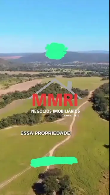 Foto 10 de Fazenda / Haras à venda em Goiás - GO