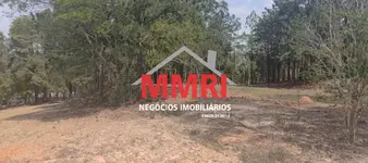 Imagem 5